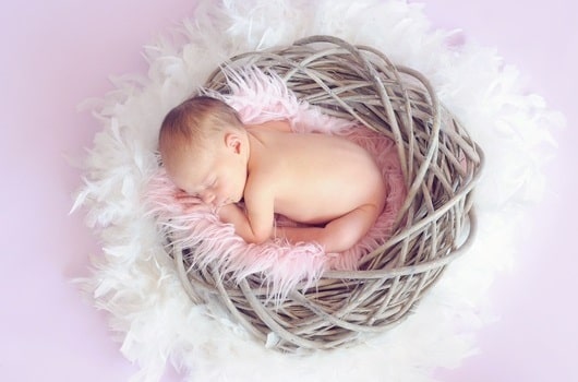 baby bibs and bodysuits